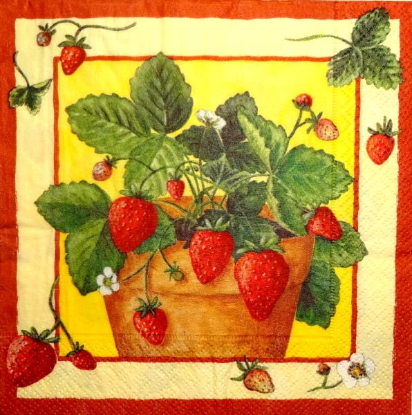 101 Beeren - 3-lagig